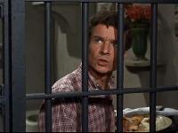 The Andy Griffith Show